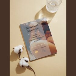 Workbook Postpartum Preparation Workbook (